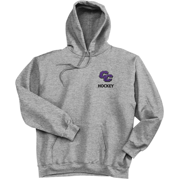 Curry College Ultimate Cotton - Pullover Hooded Sweatshirt